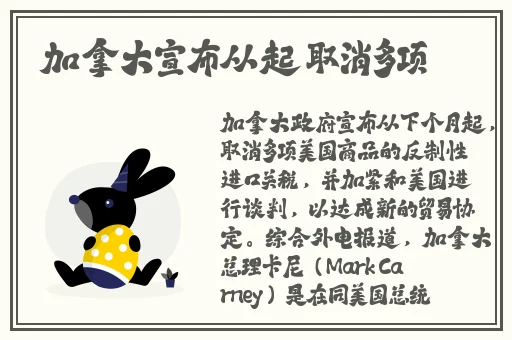 91麻豆精品久久毛片一级